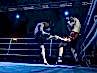 dayofthefight2018_220