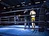 dayofthefight2018_290