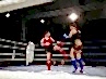 DOTF-293