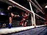 DOTF-299