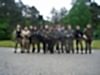 herrentag-2012-12